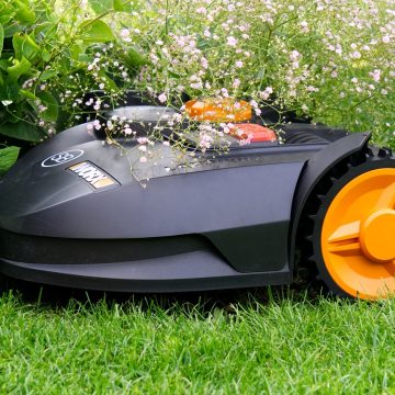What to look for when choosing a ride-on mower